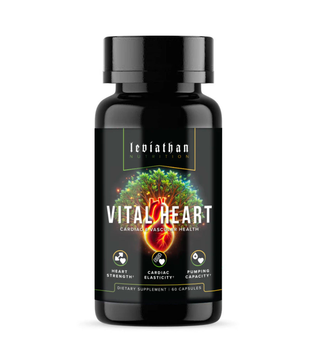 Vital Heart