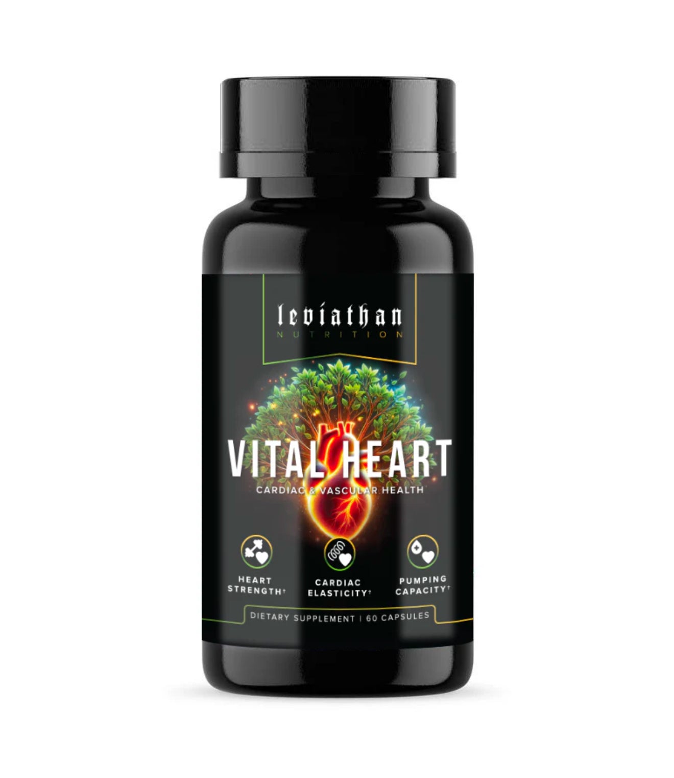 Vital Heart