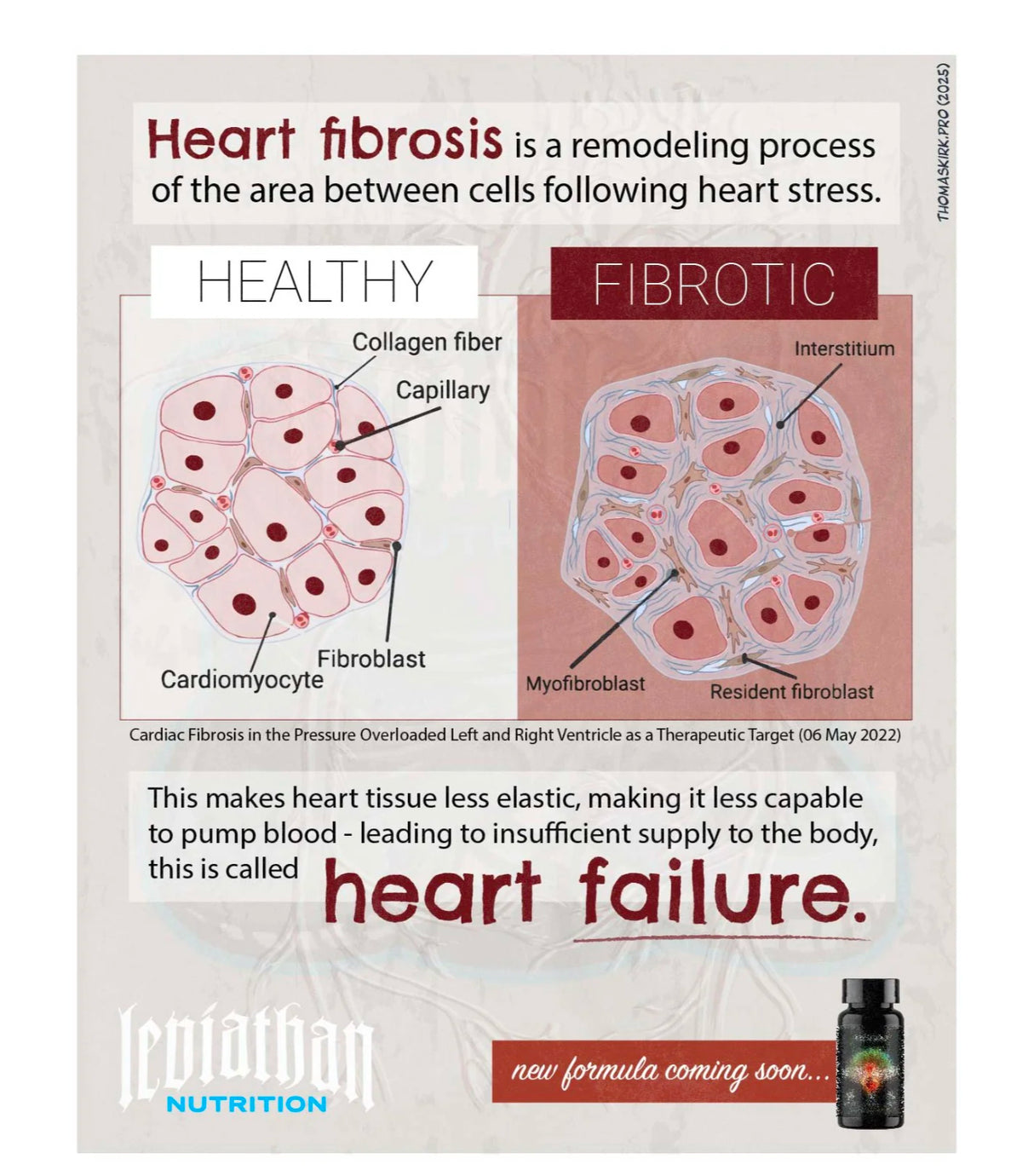 Vital Heart