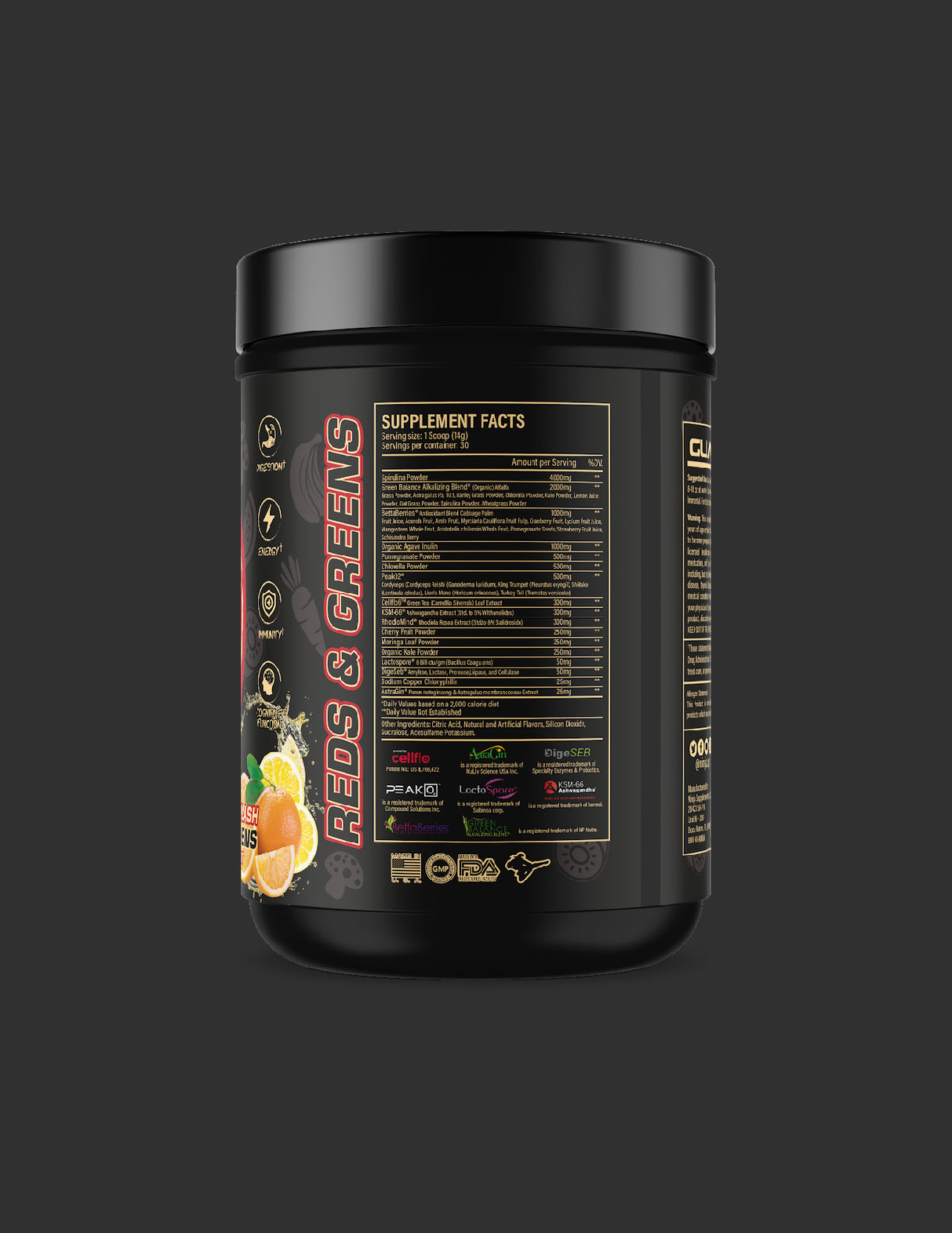 Ninja Guardian: Greens & Reds