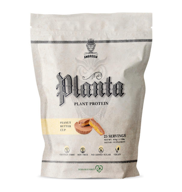 Planta